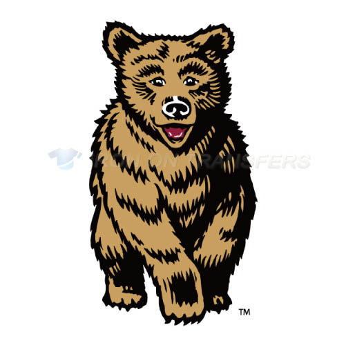 Montana Grizzlies Logo T-shirts Iron On Transfers N5172